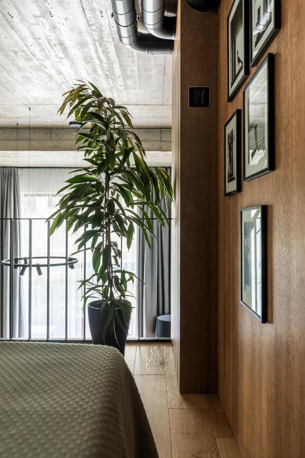 דירות וילנה Stylish Loft With Terrace Paupys, Old Town מראה חיצוני תמונה